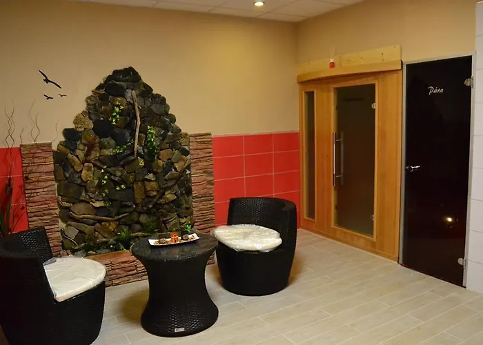 Гостевой дом Ubytovani Niagara 3*